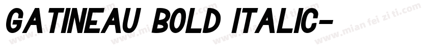 Gatineau Bold Italic字体转换